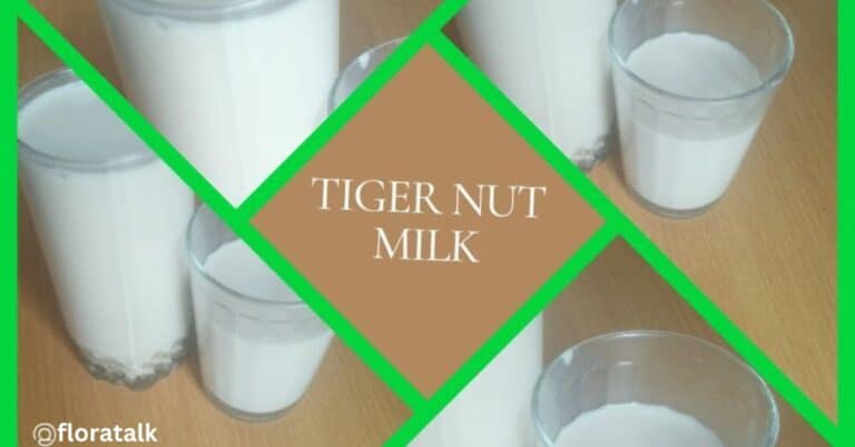 tiger nut milk