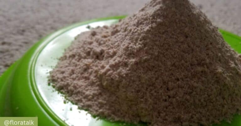 cocoyam flour