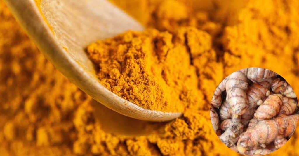 In 9 Easy Steps Make Turmeric Powder At Home
