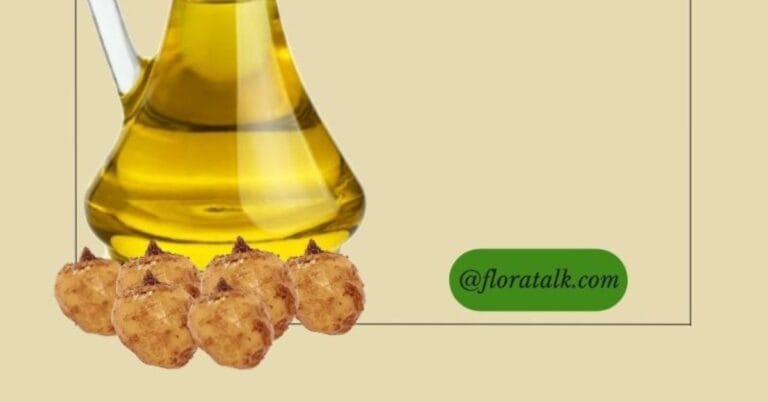 tiger nut oil