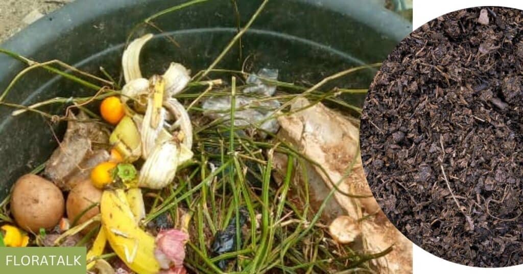 All You Need To Know About Composting & How To Make Yours