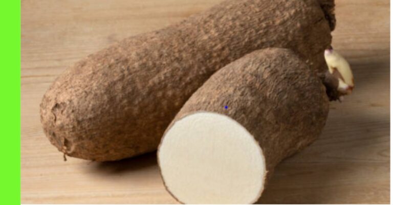 YAM