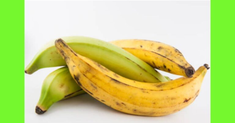 plantain