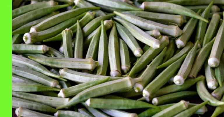 okra