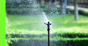 watering